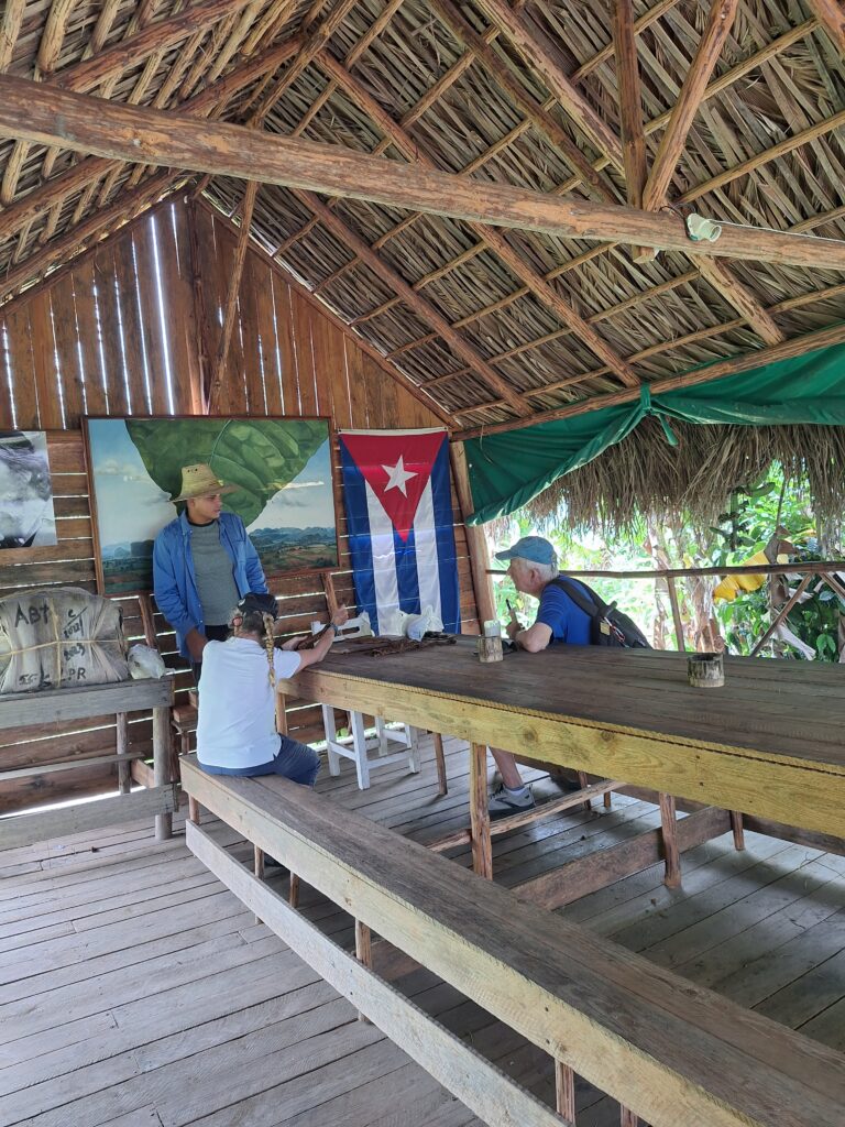 cuban tabaco farm for cigars plantations