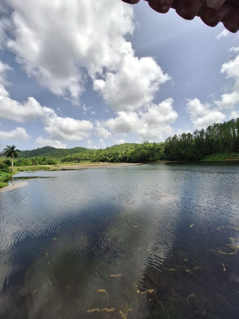 terrazas lake